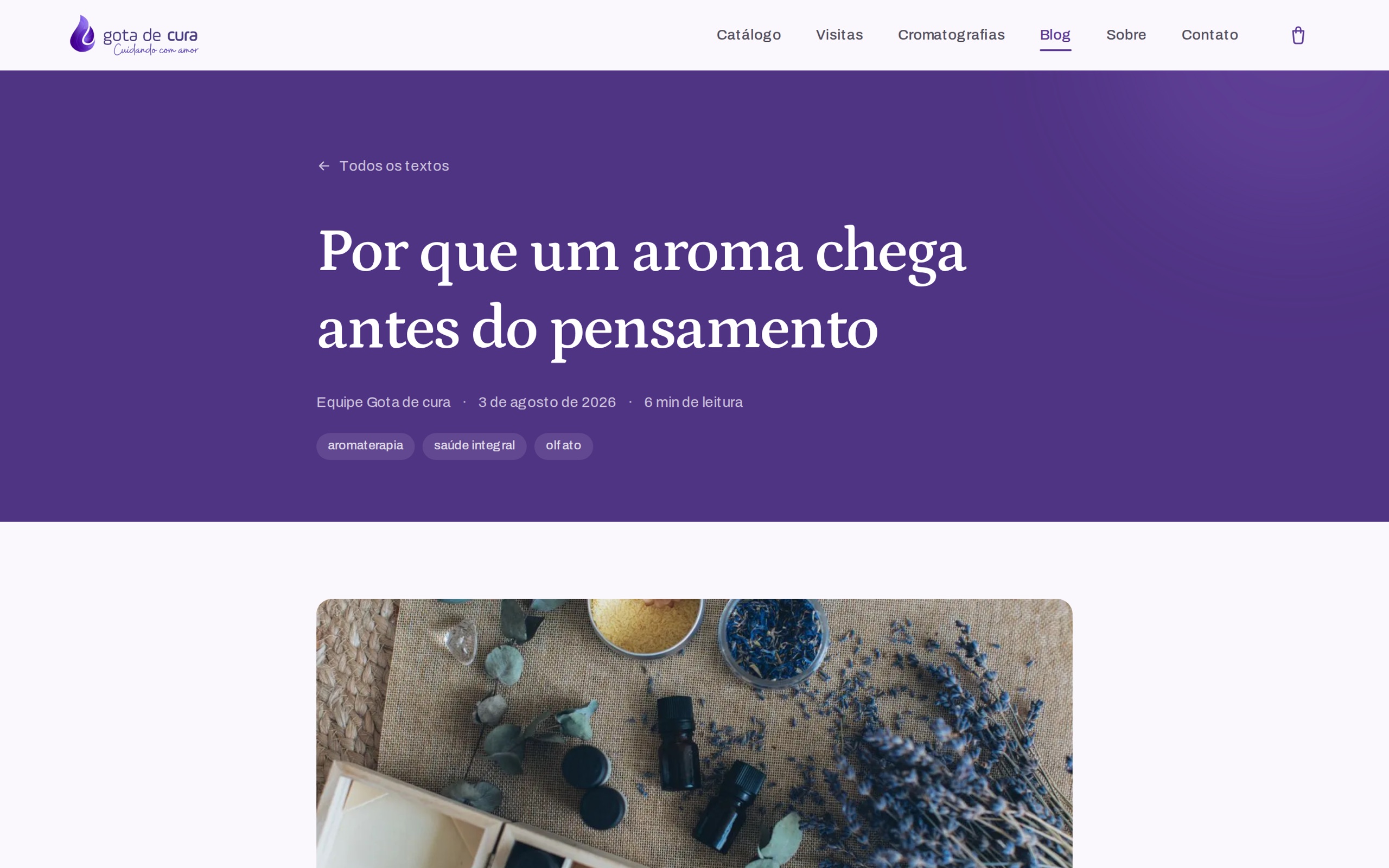 Artigo do blog aberto, com autor, data, tempo de leitura e tags