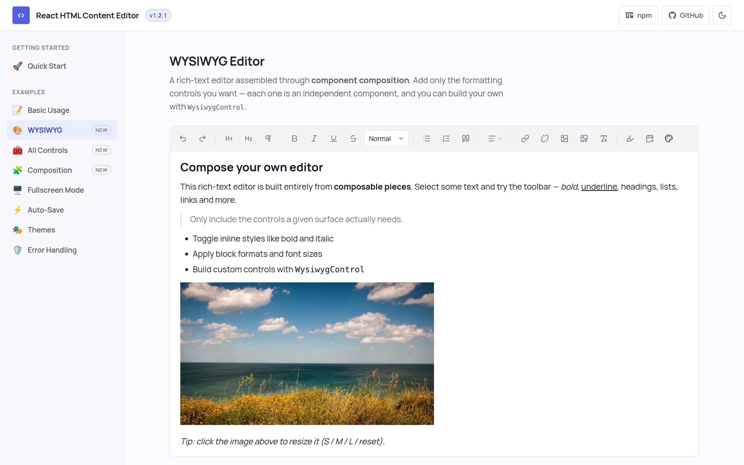 Editor WYSIWYG